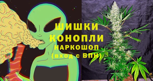 шишки Магадан