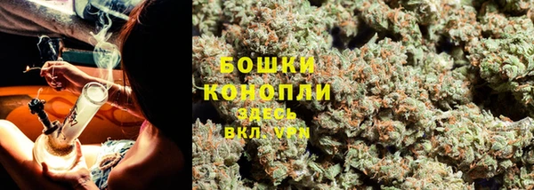 шишки Магадан