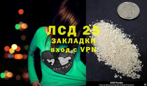шишки Магадан