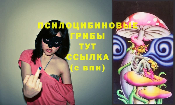 шишки Магадан