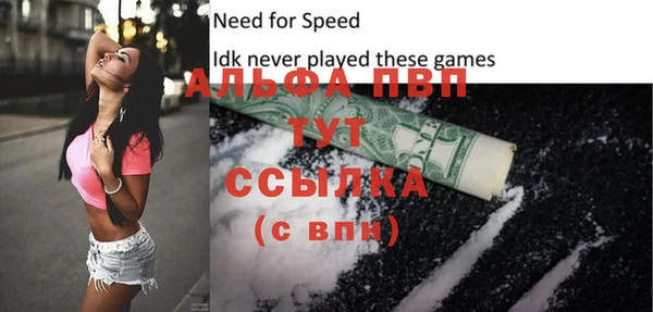 шишки Магадан