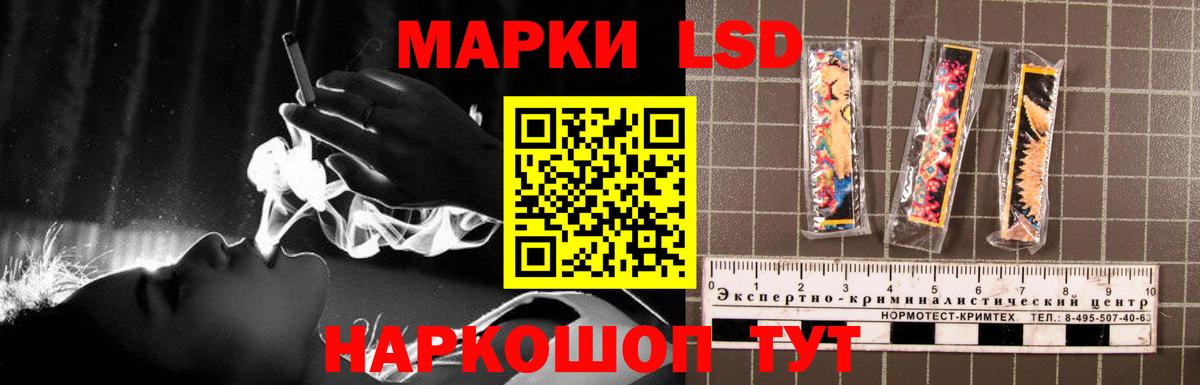 omg зеркало  LSD-25 экстази кислота  Вход с VPN  Дятьково  Лсд 25 экстази кислота 
