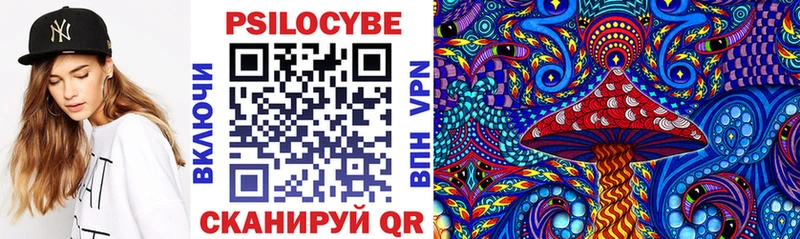продажа наркотиков  Дятьково  Галлюциногенные грибы Psilocybine cubensis 