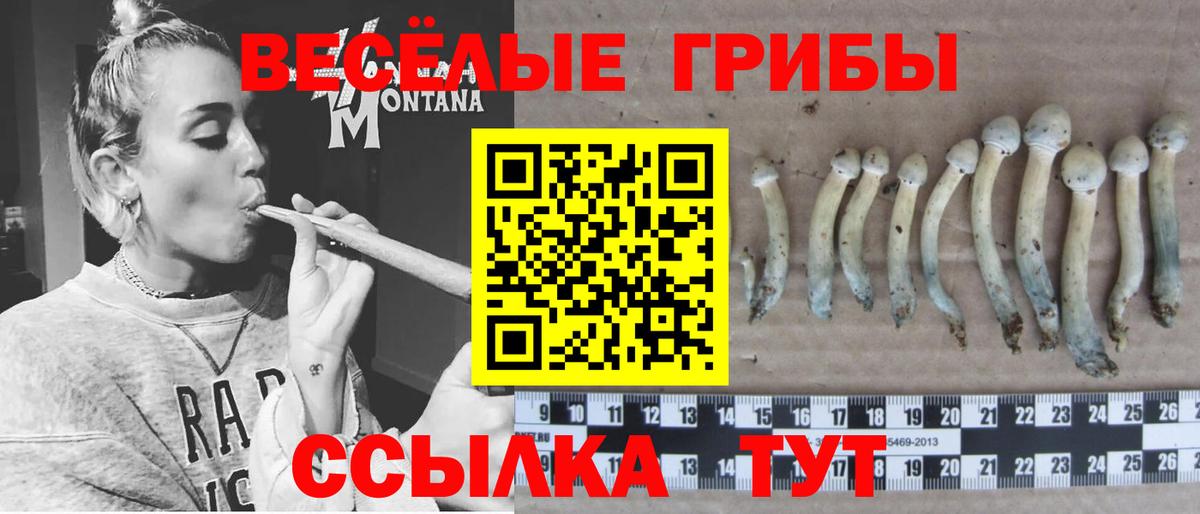 Псилоцибиновые грибы GOLDEN TEACHER  Вход с VPN  Дятьково 